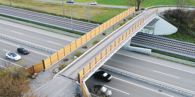 Zwischen Bad Ragaz und Fläsch (Wildtierkorridor SG26/GR20) konnte letzte Woche eine neue Wildbrücke in Betrieb genommen werden.