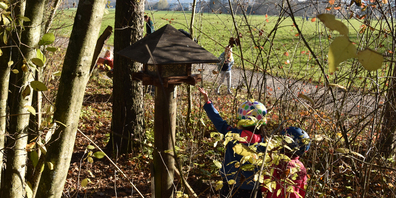 Diese Futterstelle im Lachner Horn lockt über 25 Vogelarten an. Sie wird von Jung und Alt gern besucht. (Bild Johanna Mächler)