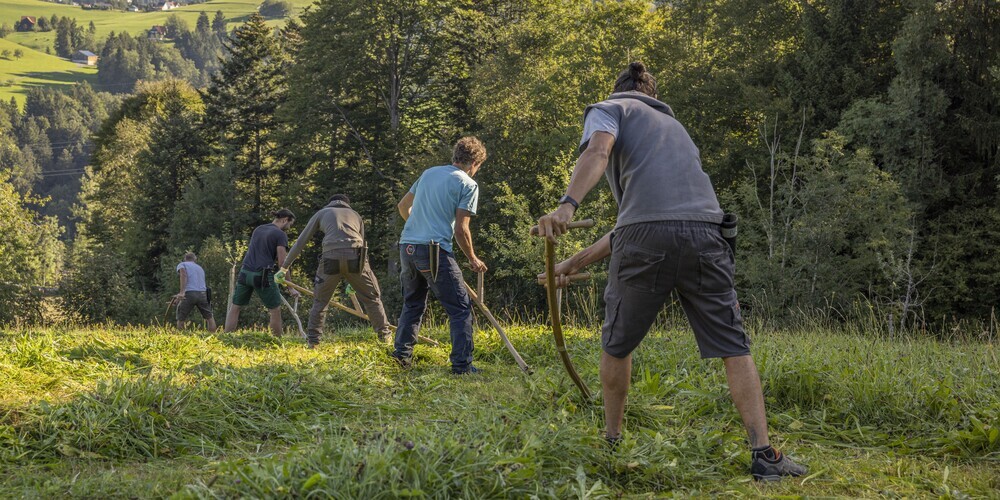 Die Kurse finden am 21. Juni und am 12. Juli statt, jeweils von 8.30 bis 12 Uhr