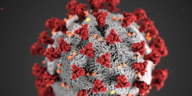 In der Schweiz und in Liechtenstein sind dem Bundesamt für Gesundheit für Freitag bis Sonntag insgesamt 12'839 neue Coronavirus-Ansteckungen gemeldet worden.