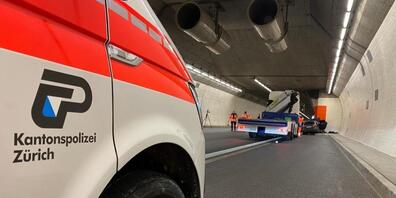 Der Fahrer des Autos zog sich beim Aufprall in der Notfallbucht tödliche Verletzungen zu.