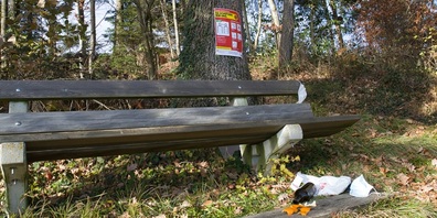 Leider lassen unachtsame Spaziergänger und Wanderer in den Wäldern ihren Müll zurück.