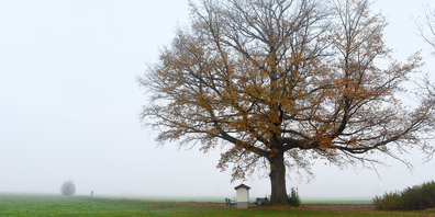 Der Herbst ist da – mit Kälte, Nebel und weniger Licht.