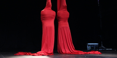 Seit vier Jahrzehnten gibt es die Staablueme. Dieses Bild entstand 2015. (Bild: pd/Corinne Cueni)