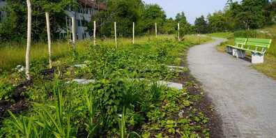 Mit dem neuen Park steht dem Quartier ein ökologisch wertvoller Erholungsraum zur Verfügung