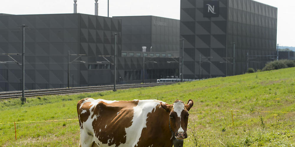 Der Nahrungsmittelriese Nestlé will Milliarden für die Verringerung seines Öko-Fussabdrucks investieren. (Archivbild)