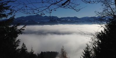 Ausblick über ein Nebelmeer