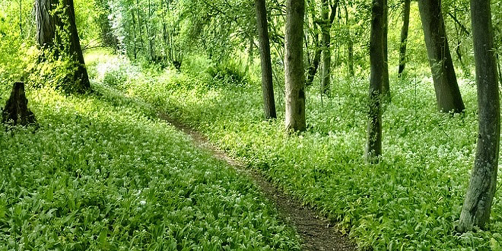 Öffentliche Wege mit privater Unterhaltspflicht werden aktuell bereinigt erfasst.