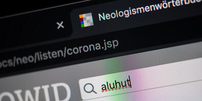 Das Wort "aluhut" steht auf der Homepage des Online-Wortschatz-Informationssystem Deutsch (OWID) des Leibniz-Institut für Deutsche Sprache (IDS) im Suchfeld. Das Wort wurde in das Wörterbuch der Neologismen, also der neuen Wörter, aufgenommen. Fot...