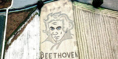 HANDOUT - Ein Bildnis des Komponisten Ludwig van Beethoven und sein Geburtsjahr 1770 ist in einem Feld zu sehen, das der Maler und Land-Art-Künstler Dario Gambarin mit Traktor und Pflug "gezeichnet" hat Foto: Dario Gambarin/dpa - ACHTUNG: Nur zur ...