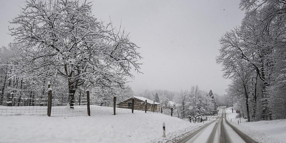 Tessinerinnen und Tessiner sind am Freitagmorgen in einer weissen Pracht aufgewacht. (Themenbild)