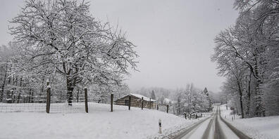 Tessinerinnen und Tessiner sind am Freitagmorgen in einer weissen Pracht aufgewacht. (Themenbild)