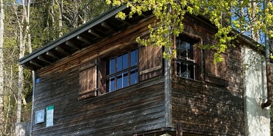 Seit 1968 steht die Pfadihütte Chli Bäretswil, jetzt wird sie abgerissen und wieder neu aufgebaut.