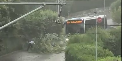 Schritt resolut zur Tat. Der Buschauffeur sorgte in Meilen für freie Fahrt.