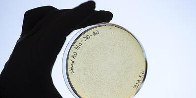 Auch für die Schweiz ist es wichtig, dass die EU sich rechtzeitig auf ihren mehrjährigen Finanzrahmen einigen kann. Denn gelingt der EU das nicht, dann erhält auch das für die Schweiz wichtige und interessante EU-Forschungsprogramm "Horizon Europe...