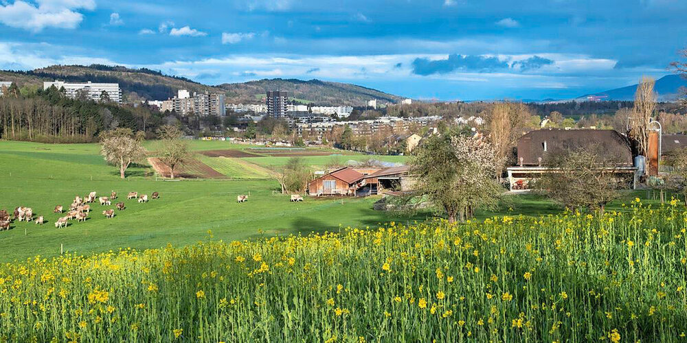 Ländliche Idylle, anonyme Wohnbauten – im Kontrast.