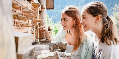 Ein Insektenhotel als wertvoller Beitrag zum Naturschutz.