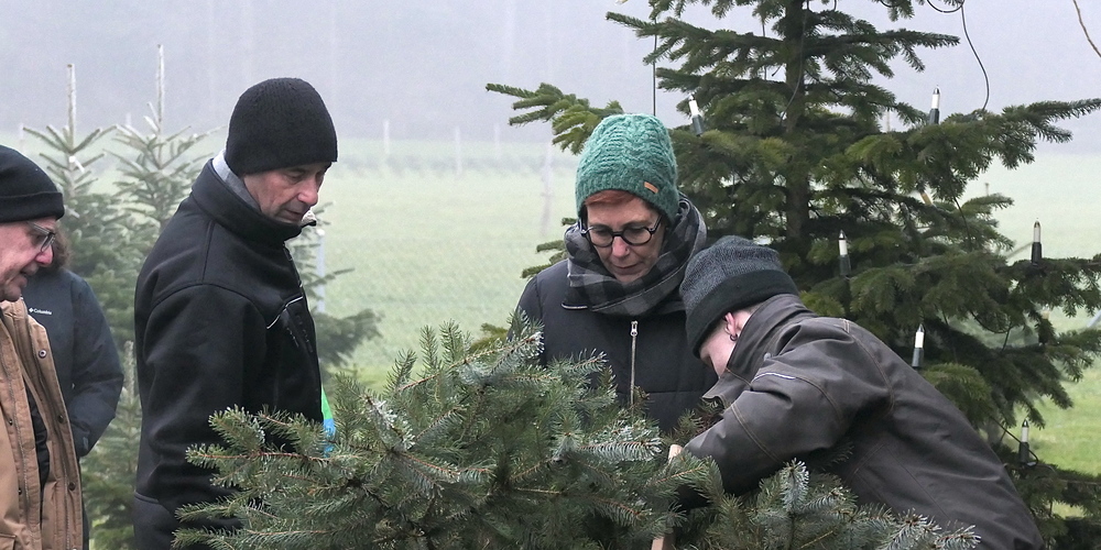 Christbaumverkauf im Stampfwald (Symbolbild)