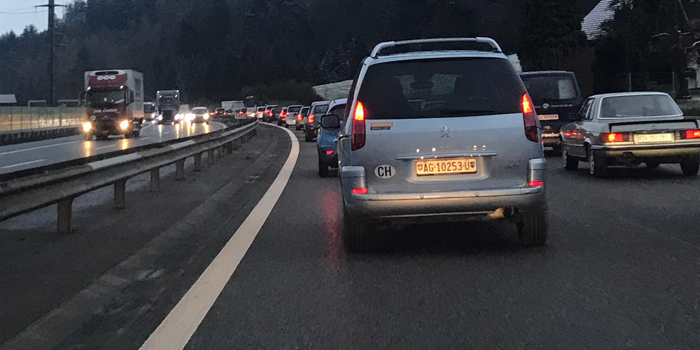 Der Verkehr stockte am Donnerstagmorgen auf der A3 in Fahrtrichtung Chur wegen eines Rindes. (Bild: Anouk Arbenz)