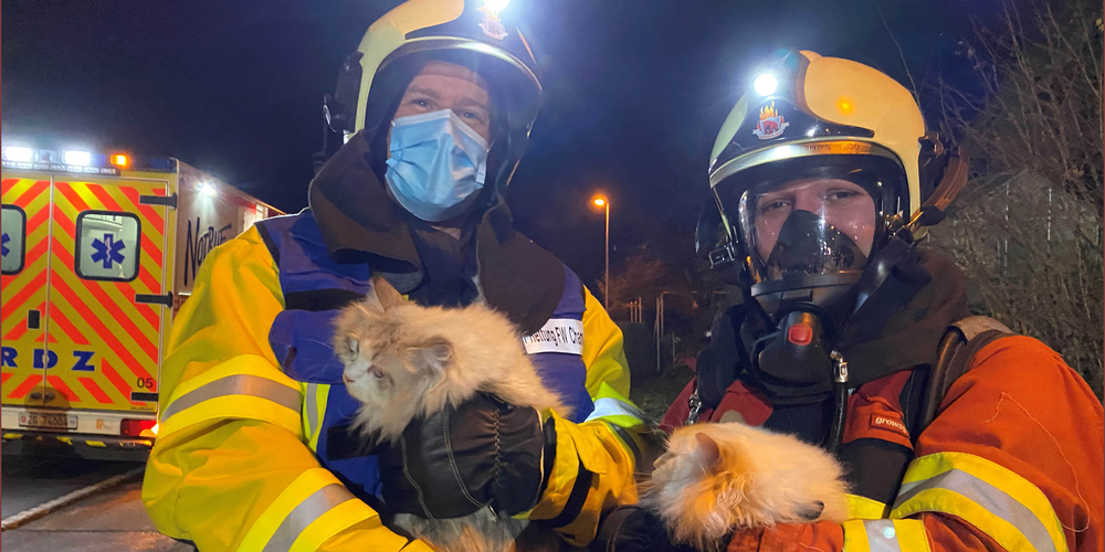 Die Feuerwehrleute retteten drei Katzen aus dem brennenden Haus. (Bild: Kapo Zug)