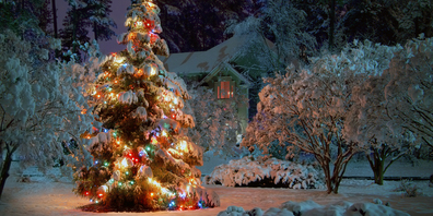 Vielleicht sieht es am ersten Weihnachtsfeiertag so aus? (Symbolbild: Shutterstock)