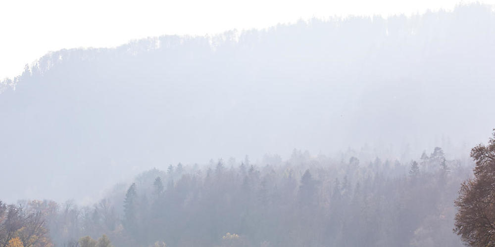 Das Jahr 2020 war annähernd so warm wie das Rekordjahr 2018. Im Bild Spaziergänger im Novemer auf der Allmend in Zürich.