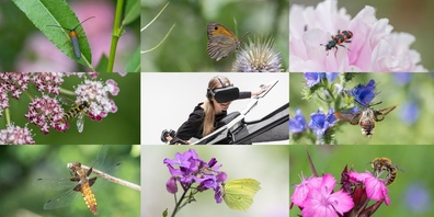 Mit dem Insektenflugsimulator die Welt aus der Perspektive eines Schmetterlings erleben. 