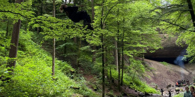 Beim Ausflug konnte auch eine Seilbrücke benutzt werden.