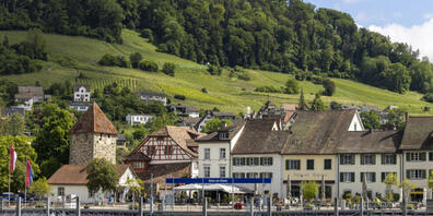 Die Kursschifffahrt zwischen Stein am Rhein SH und Diessenhofen TG ist unterbrochen. Grund dafür sind Kalkablagerungen von Quaggamuscheln in der Schifffahrtsrinne. Können diese nicht rasch beseitigt werden, drohen Einschränkungen auch für den...