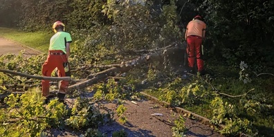 Einsatz der Holzergruppe der Feuerwehr Rüti.