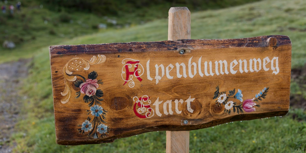 Die sechs schönsten Alpenblumenwege - Lenk Betelberg