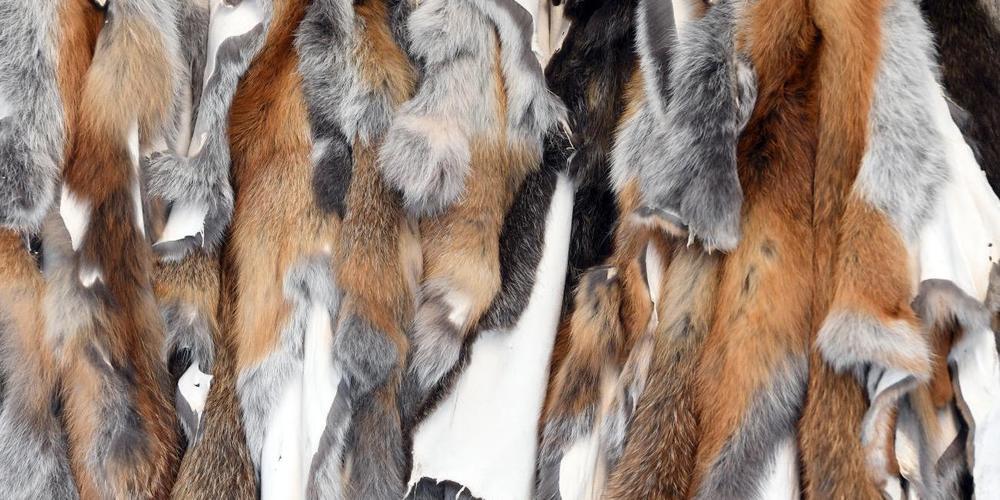 Die Altstätter Pelzmesse fällt für dieses Jahr aus (Bild: welt.de)