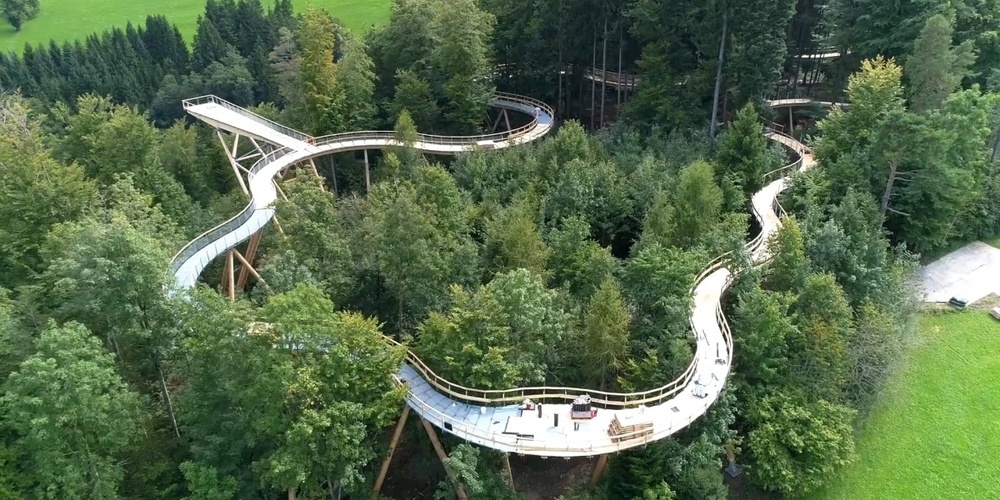 Baumwipfelpfad (Symbolbild)
