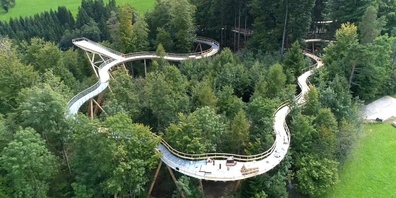 Baumwipfelpfad Mogelsberg. (Symbolbild)