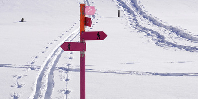 Dass sich jetzt vermehrt Leute im Wald aufhalten, ist auch Corona geschuldet. Solange sich Läufer auf vorgegebenen Pfaden bewegen, gibt es kaum Probleme. (Bild pixabay)