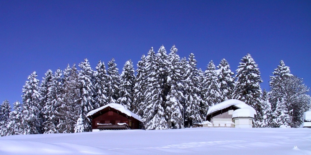 Linth24 präsentiert winterliche Bilder aus Arvenbüel und Lenggis in Jona, eingefangen im Verlauf des vergangenen Jahres.