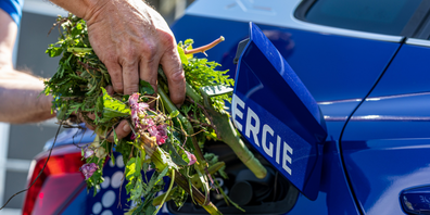 Energie Zürichsee Linth setzt vermehrt auf Biogas, sowohl bei der Gas-Grundversorgung als auch bei der Mobilität.