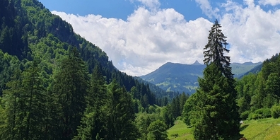 Durchs Verrucanogestein im Schilstal. (Symbolbild)