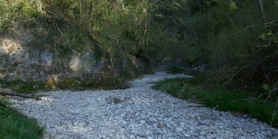 Ausgetrockneter Bachlauf mit sichtbarem Kiesbett.