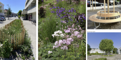 Der Abschnitt zwischen Bahnhofplatz und Zufahrt Post soll von der Gemeinde zu einer Begegnungszone mit Grünraum umgestaltet werden.