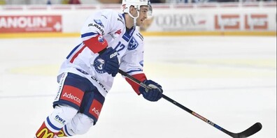 Zurück zu den Wurzeln: Goldküsten-Gretzky Luca Cunti.
