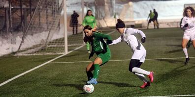 (Bild: Podo Gessner)