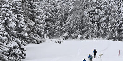 Vier Personen wurden am Sonntag im Gebiet Rochers-de-Naye oberhalb von Montreux (VD) von einer Lawine verschüttet. Es herrschte erhebliche Lawinengefahr. (Symboldbild)