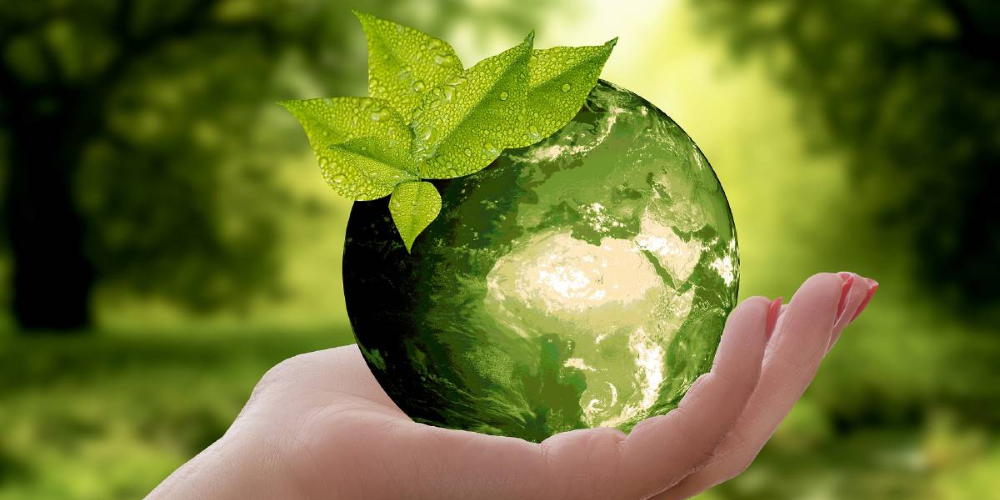 Die Klimaallianz findet, dass die Bevölkerung von Rapperswil-Jona über den Zeithorizont des Klimaartikels abstimmen soll. (Symbolbild)