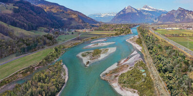 So soll sich der Rhein nach der Aufweitung und der vollständigen Neubewachsung in rund 35 Jahren  präsentieren. 