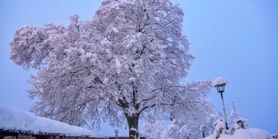 Bild: Boris Baldinger