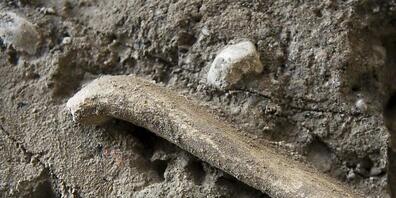 Bei Kasos sind Amphoren aus der Antike entdeckt worden. (Symbolbild)