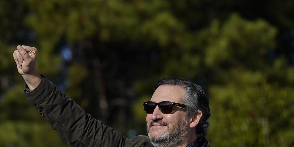 Ted Cruz, republikanischer Senator für den US-Bundesstaat Texas, streckt bei einer Wahlkampfveranstaltung für die US-Senatorin Loeffler seine Faust in die Luft. Foto: Brynn Anderson/AP/dpa