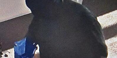 Mit einem Zettel in der einen und einem verpackten Messer in der anderen Hand ergatterte ein Senior in einer Bank in Meggen fast 14'000 Franken - ins Gefängnis muss er dafür nicht.