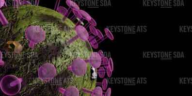 In der Schweiz und in Liechtenstein sind dem BAG am Freitag innerhalb von 24 Stunden 1916 neue Coronavirus-Ansteckungen gemeldet worden. Gleichzeitig registrierte das Bundesamt für Gesundheit (BAG) 50 neue Todesfälle und 110 Spitaleinweisungen.